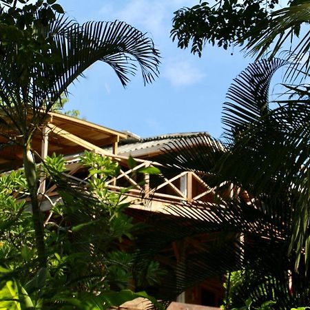 Eden Jungle Lodge Bocas Town Ngoại thất bức ảnh