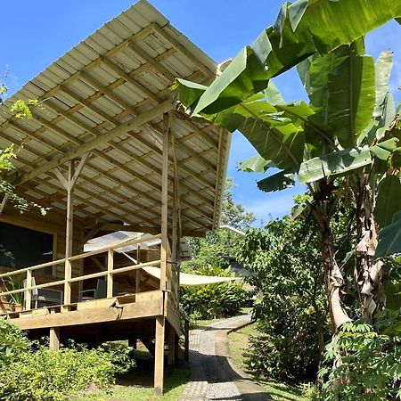 Eden Jungle Lodge Bocas Town Ngoại thất bức ảnh