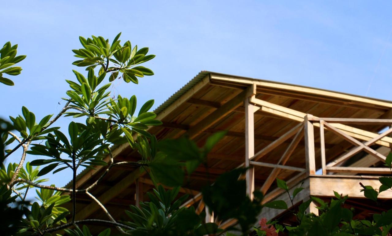 Eden Jungle Lodge Bocas Town Ngoại thất bức ảnh