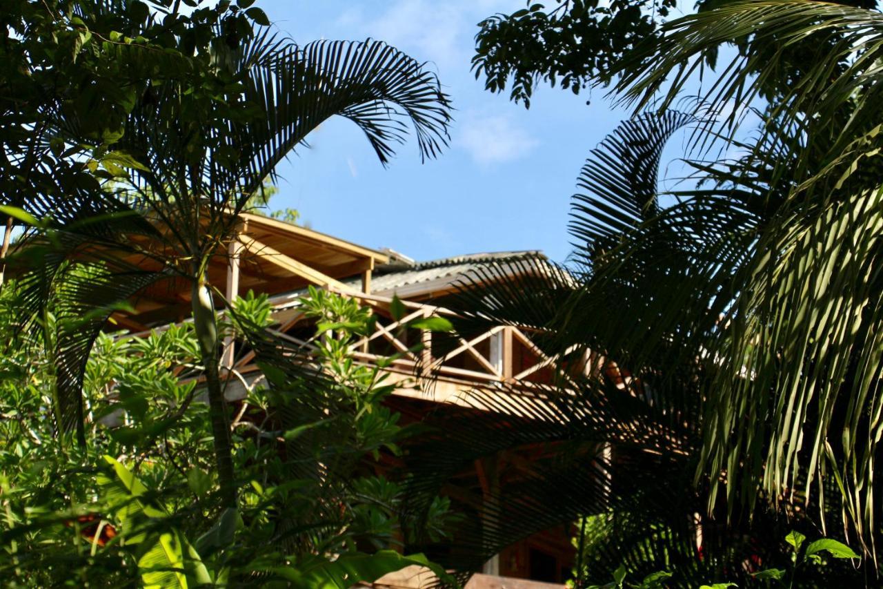 Eden Jungle Lodge Bocas Town Ngoại thất bức ảnh