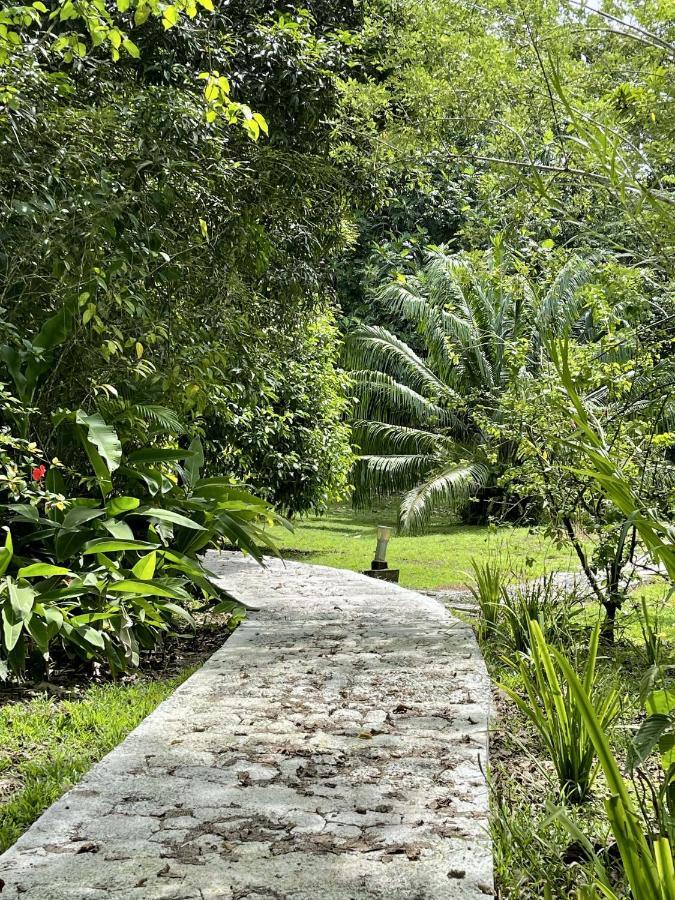 Eden Jungle Lodge Bocas Town Ngoại thất bức ảnh