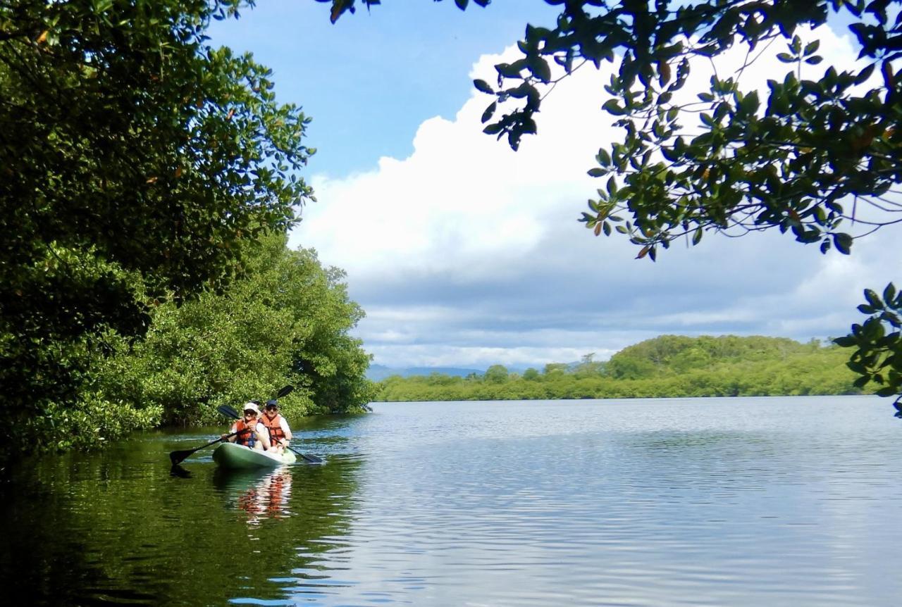 Eden Jungle Lodge Bocas Town Ngoại thất bức ảnh