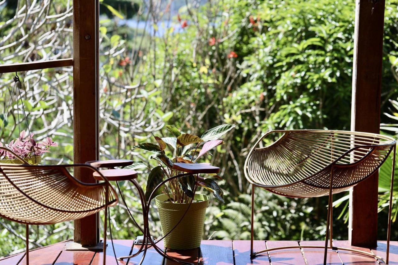 Eden Jungle Lodge Bocas Town Ngoại thất bức ảnh