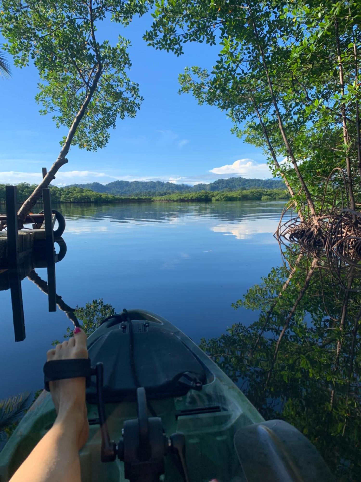 Eden Jungle Lodge Bocas Town Ngoại thất bức ảnh