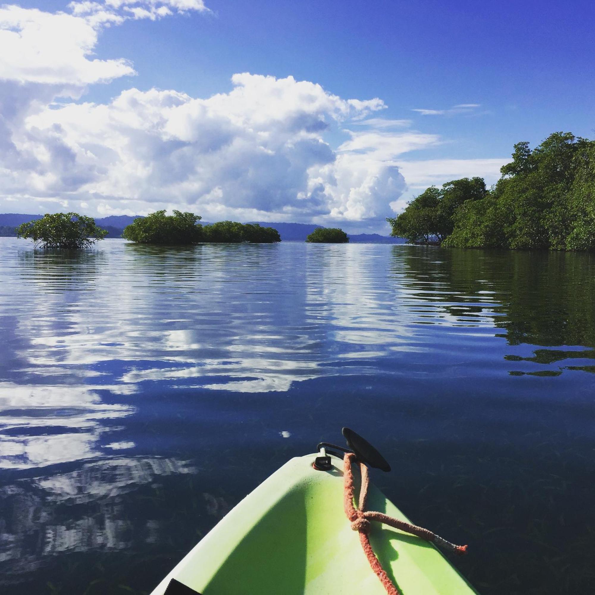 Eden Jungle Lodge Bocas Town Ngoại thất bức ảnh