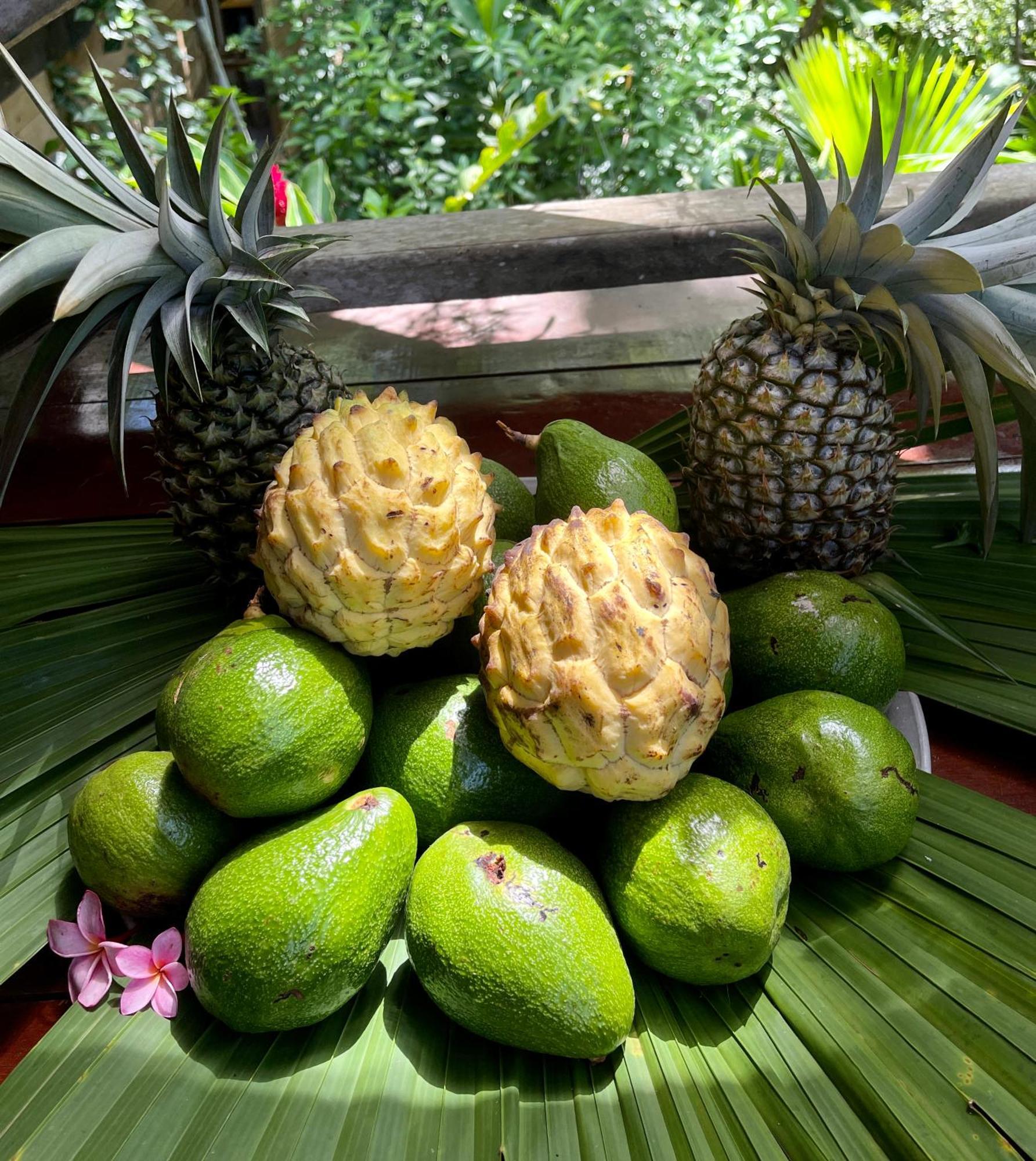 Eden Jungle Lodge Bocas Town Ngoại thất bức ảnh