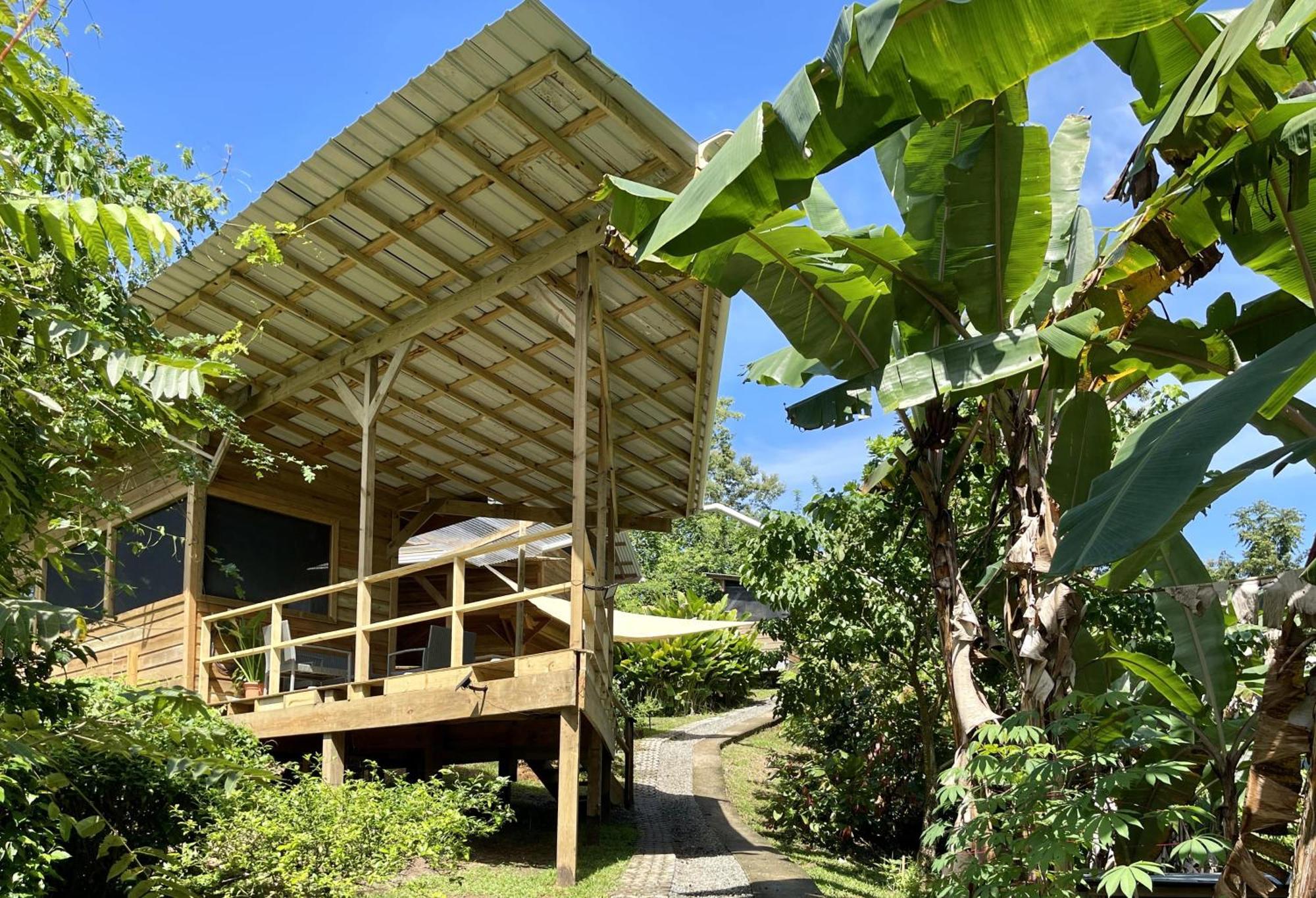 Eden Jungle Lodge Bocas Town Ngoại thất bức ảnh