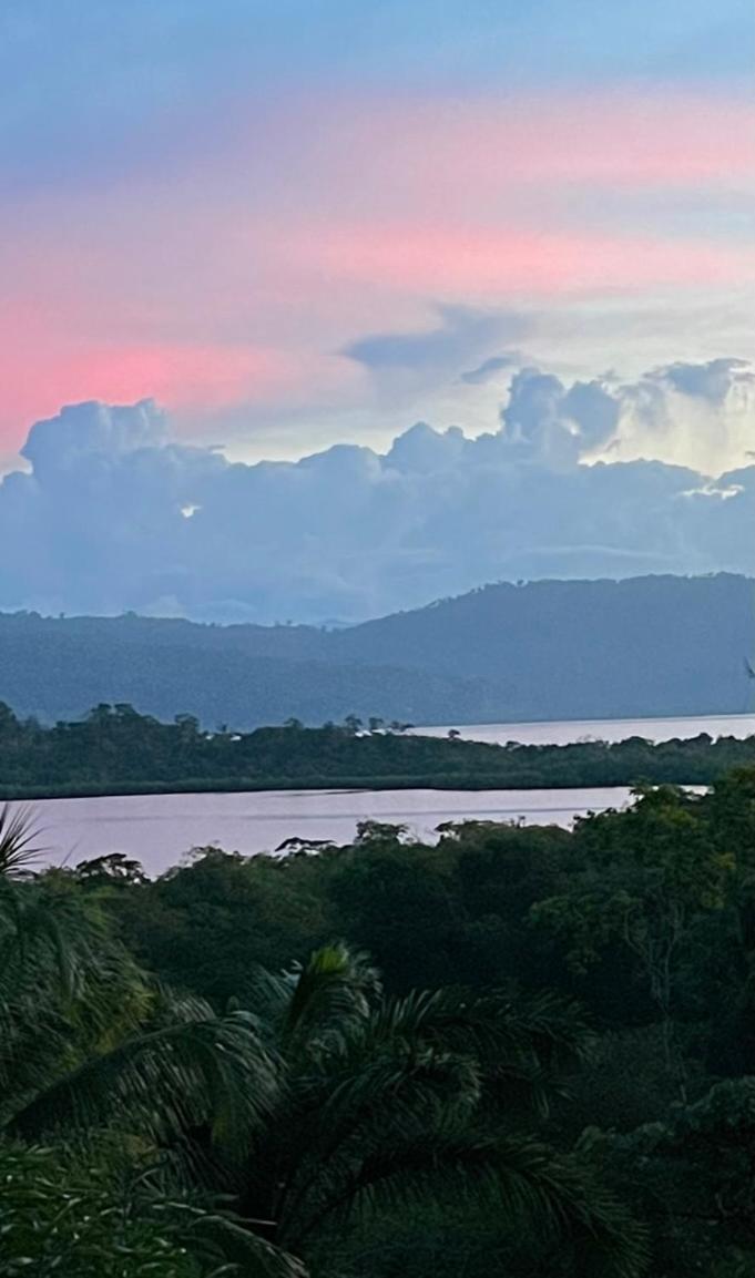 Eden Jungle Lodge Bocas Town Ngoại thất bức ảnh